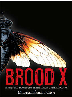 Brood X