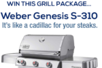 Weber Grill