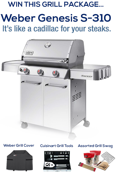 Weber Grill