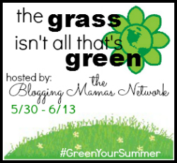 Green Your Summer Giveaway Hop