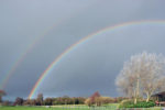 Double Rainbow