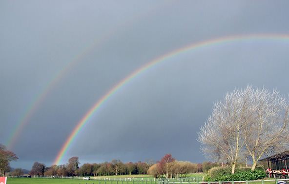 Double Rainbow