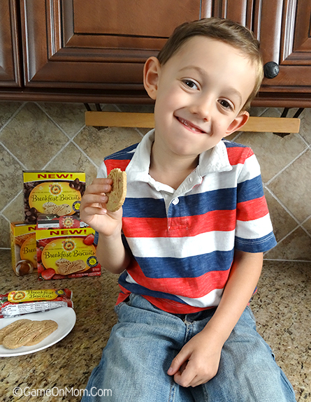 New Honey Bunches of Oats Breakfast Biscuits