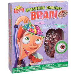 Disgusting Anatomy Brain