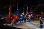 Medieval Times Knights