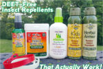 DEET-Free Insect Repellents That Actually Work