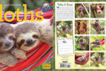 Sloths Calendar