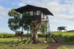 Treehouse