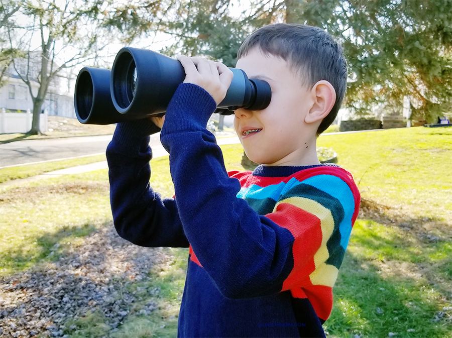 Maginon 10-30x60 Binoculars