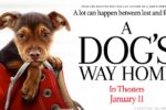 A Dog's Way Home Movie