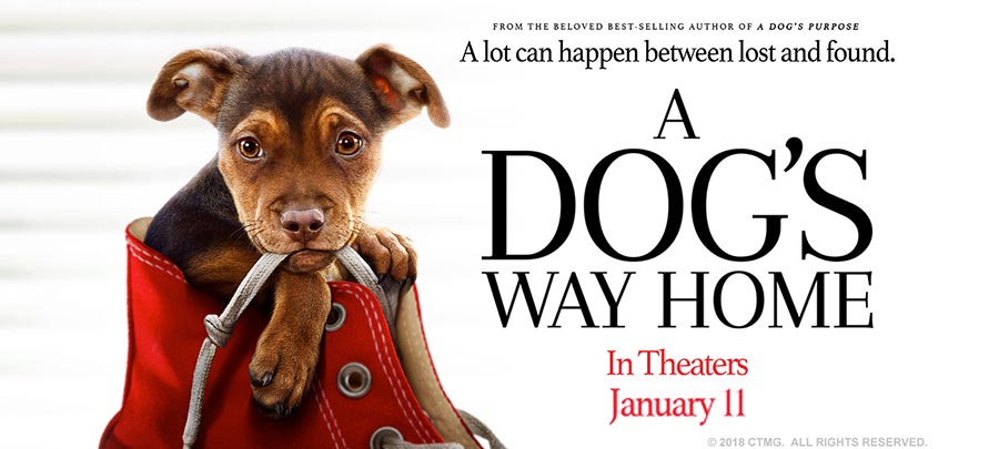 A Dog's Way Home Movie