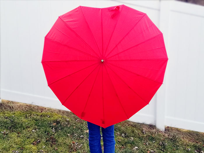 ShedRain Heart-Shaped Umbrella