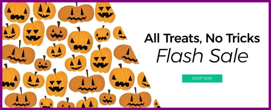 Cricut Flash Sale