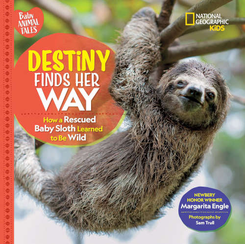 Destiny Finds Her Way Book