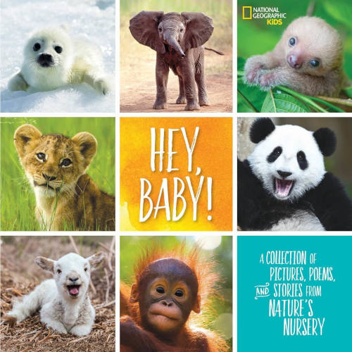 Nat Geo Kids Hey, Baby! Book